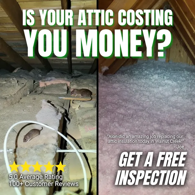 Attic costing you money ad