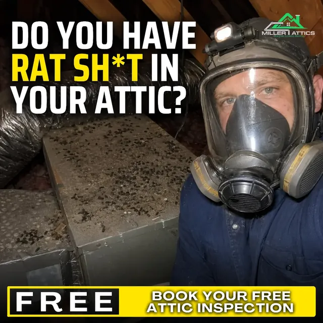 Miller Attics rodent cleanup ad